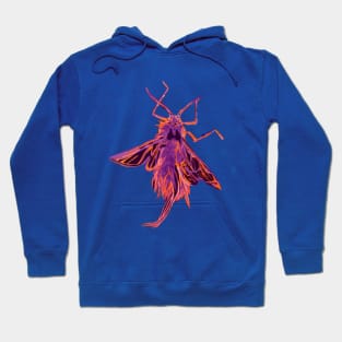 Wooly Aphid 2 Hoodie